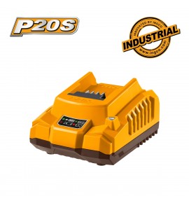 Φορτιστής Μπαταρίας 20V 2A