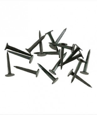 Κοσκινόπροκες 