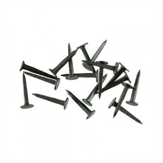 Κοσκινόπροκες 