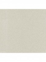 Γυαλόχαρτο  Φύλλο